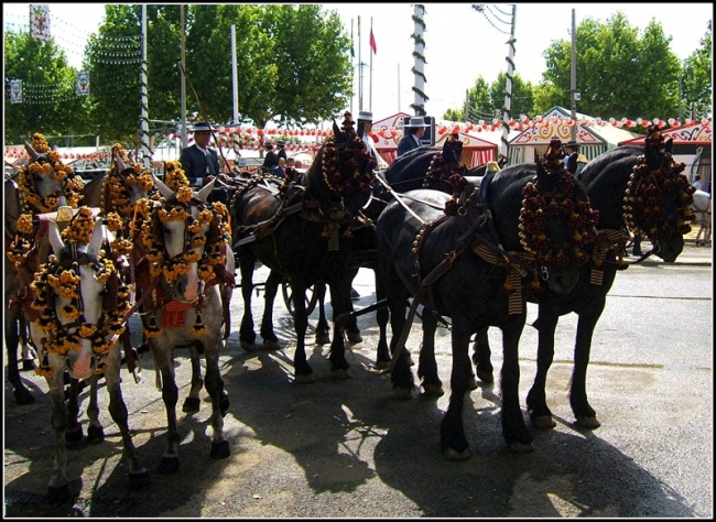 Feria Ground with Horse and Carriages