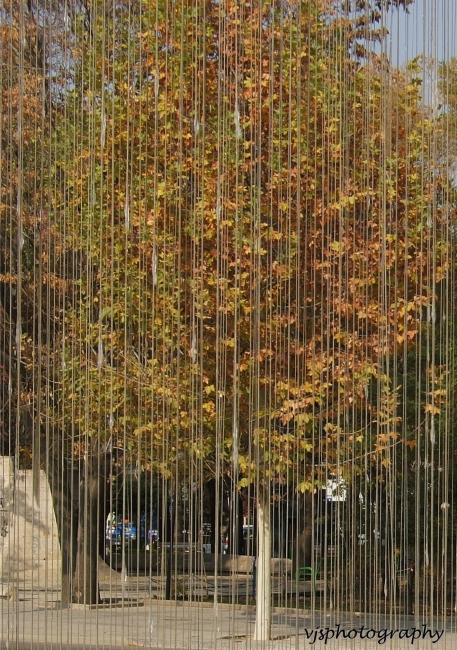 Autumn Colours through the Fountain