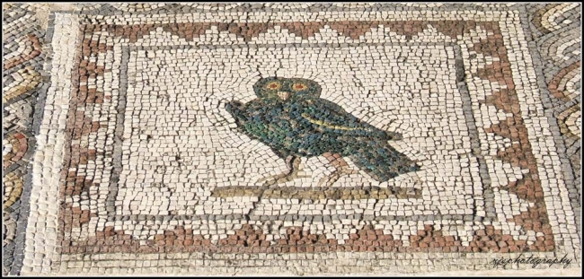 Italica Bird Mosaic