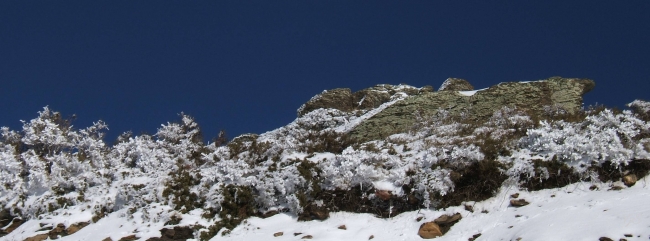 Sierra Nevada ledge