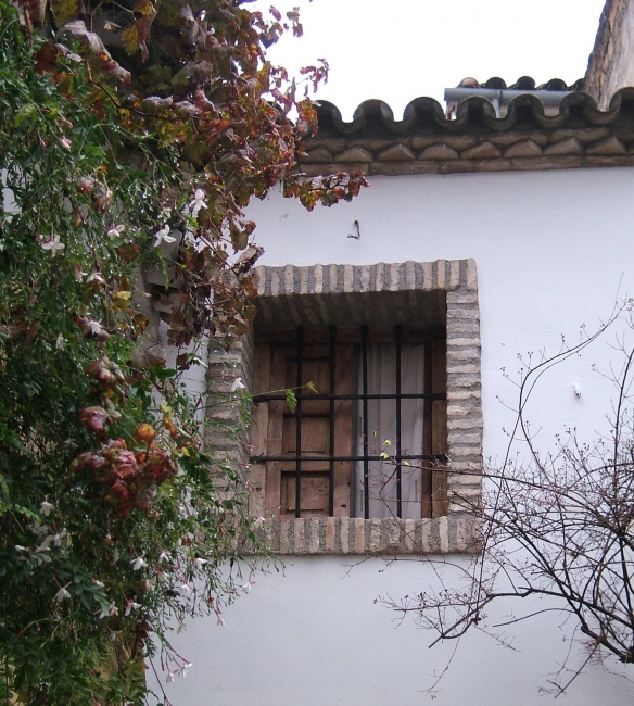 Square Window Cordoba